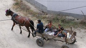 За социалната интеграция на уязвимите групи