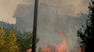 Пчелни кошери и покрив изгоряха в Тополовград