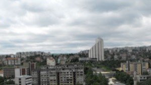 Учредиха Областен консултативен съвет по животновъдство