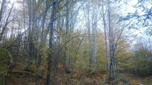 Прогноза за 2 октомври петък