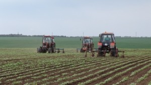 Изнесени приемни на Националната служба за съвети в земеделието