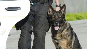 Зоополицията вече е факт