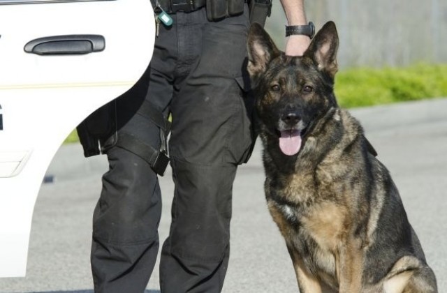 Зоополицията вече е факт