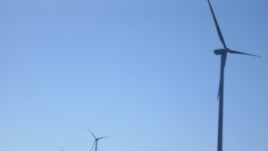 Бизнесът Законните зелени централи са добре дошли в енергетиката