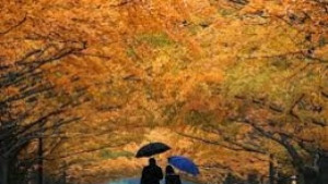 Есенен салон 2015 в Казанлък