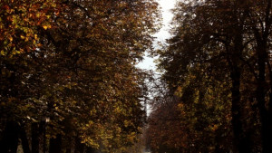 Времето на 3 октомври Слънчево и приятно