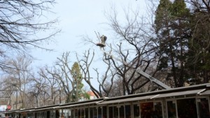 Кандидат за кмет на Приморски се срещна с търговци от