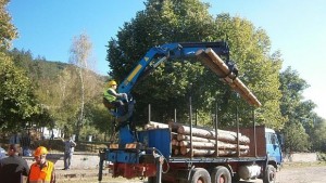 Кражбата на дървесина възлиза на 6 млн лв годишно