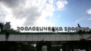 Зоологическата градина в София с безплатен вход