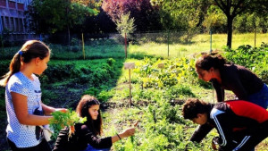 НАРУ иска запазване на ресурсните учители по места