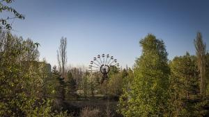 Природата в Чернобил процъфтява СНИМКИ