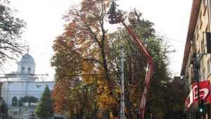 Обезопасиха 30метров кестен на възлово кръстовище в Плевен