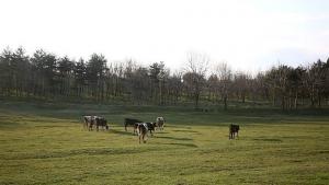 Правителството създаде ново село