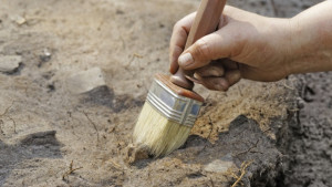 Разкриха подробности около новооткрития предшественик на човека Хомо наледи