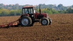 Според РИОСВСтара Загора Тополчанското поле където разорават колония на лалугери