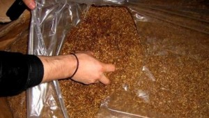 Иззеха над 800 килограма тютюн