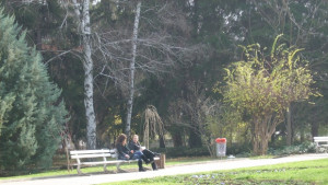 Разширяват дейността на ОП Зелени системи във Вeлико Търново