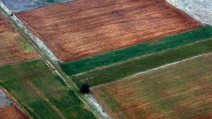 Времето на 11 октомври Температурите падат още