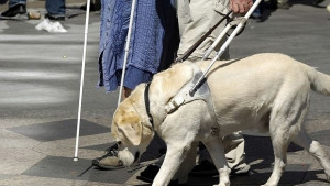 Отбелязваме Международния ден на белия бастун