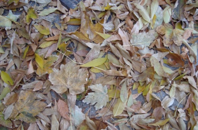 Времето на 16 октомври: Слаби превалявания