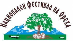 Втори фестивал на ореха стягат голямодряновци