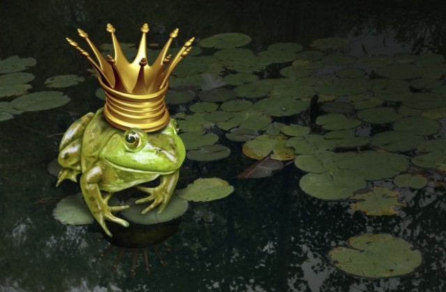 Средно 20-ата целуната жаба... се оказва принц