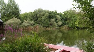 Създадоха разсадник за редки и защитени растения в Странджа