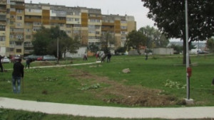 Пламен Нунев и младежи от МГЕРБ посадиха 25 дръвчета