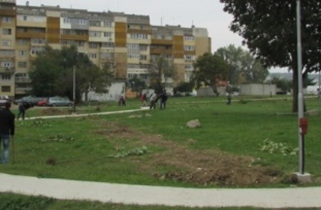 Пламен Нунев и младежи от МГЕРБ посадиха 25 дръвчета