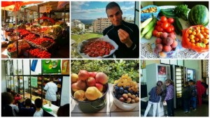 От милинката към чепка грозде за закуска първа стъпка към