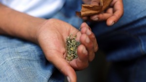 Албанската полиция залови над 3 тона канабис