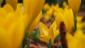 Синоптиците обещават до 21 максимални градуса през уикенда