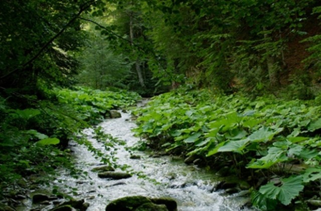 18 октомври - Световeн ден за мониторинг на водата