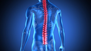 Гръбначен имплант се справя с хроничните болки в гърба