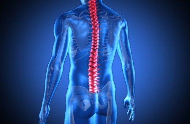 Гръбначен имплант се справя с хроничните болки в гърба