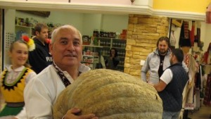 Тиква от село Солник с тегло 328 кг е големият