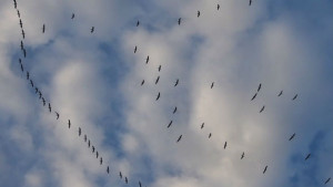 Времето на 19 октомври Ще бъде топло и без валежи