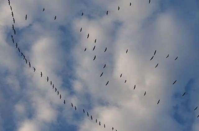 Времето на 19 октомври: Ще бъде топло и без валежи