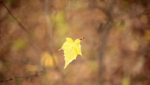 Времето на 19 октомври Ще бъде топло и без валежи