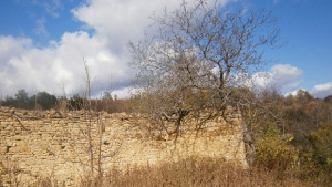 Времето на 19 октомври