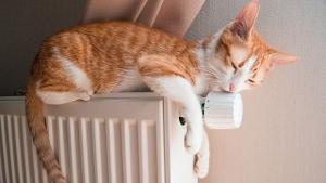 Столичната топлофикация е готова да пуска парното от 20 октомври