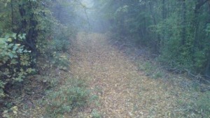 Облачно с превалявания от дъжд