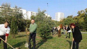 Петя Проданова организира инициатива по залесяване