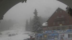 Сняг заваля на Витоша