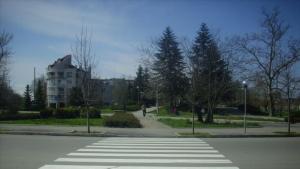 Пиян шофьор блъсна пешеходка