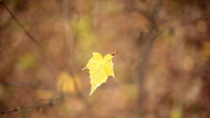 Слънчево и приятно