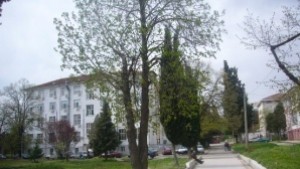 Назначиха временен управител на бившия ТУБ диспансер