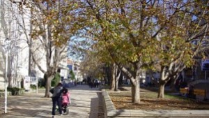Информационен ден за остеопорозата
