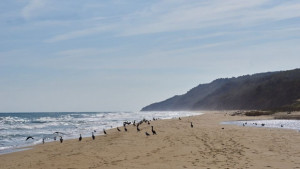 Забраната за къмпингуване в Карадере падна в съда