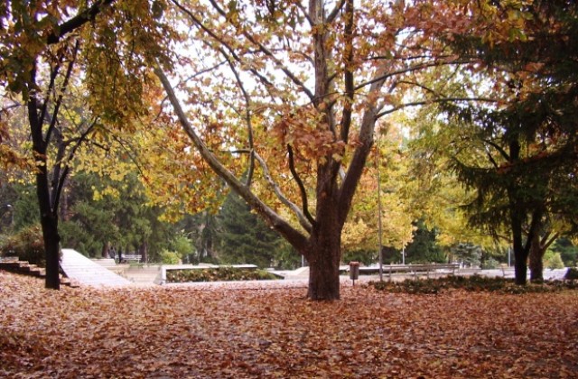 И през ноември ще се радваме на температури до 20 градуса